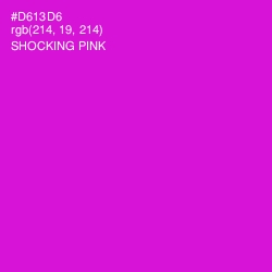 #D613D6 - Shocking Pink Color Image